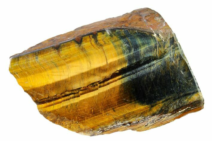 Polished Tiger's Eye Section - South Africa #148256